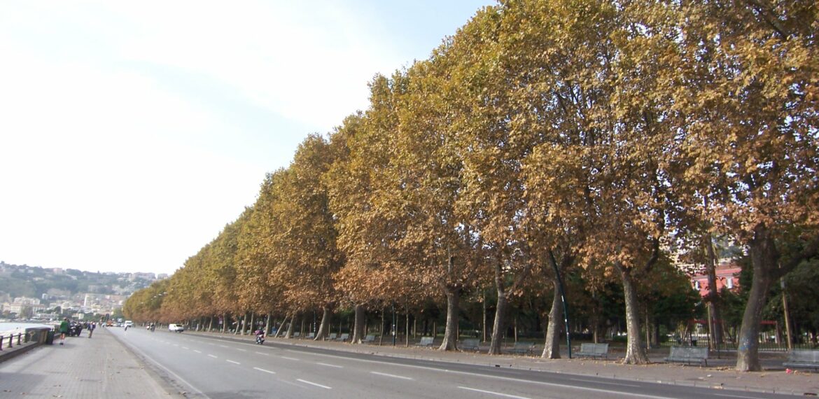 Via Francesco Caracciolo